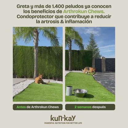 Arthrokun Perros (260 g) Suplemento para la Salud Articular