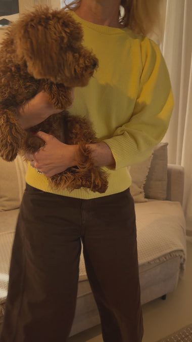 Antibugskun - Repelente & Desenredante natural