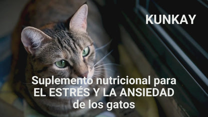 Suplemento natural para el estrés y la ansiedad de gatos