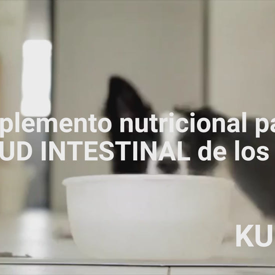 Suplemento natural para la diarrea de perros