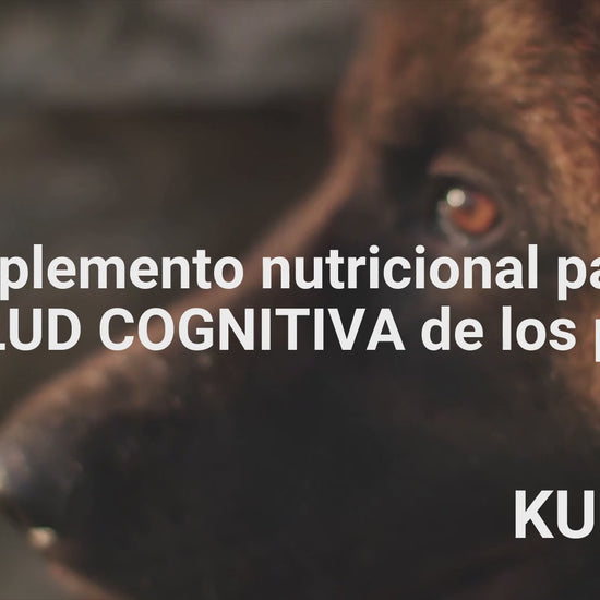 Suplemento natural para el envejecimiento cerebral de perros