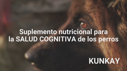 Suplemento natural para el envejecimiento cerebral de perros