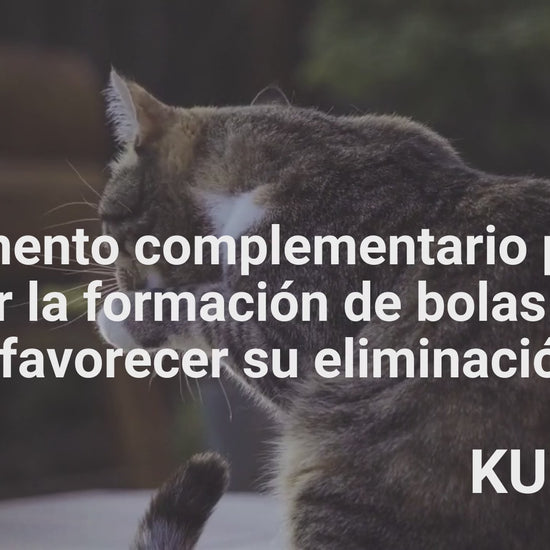 Suplemento natural para las bolas de pelo en gatos