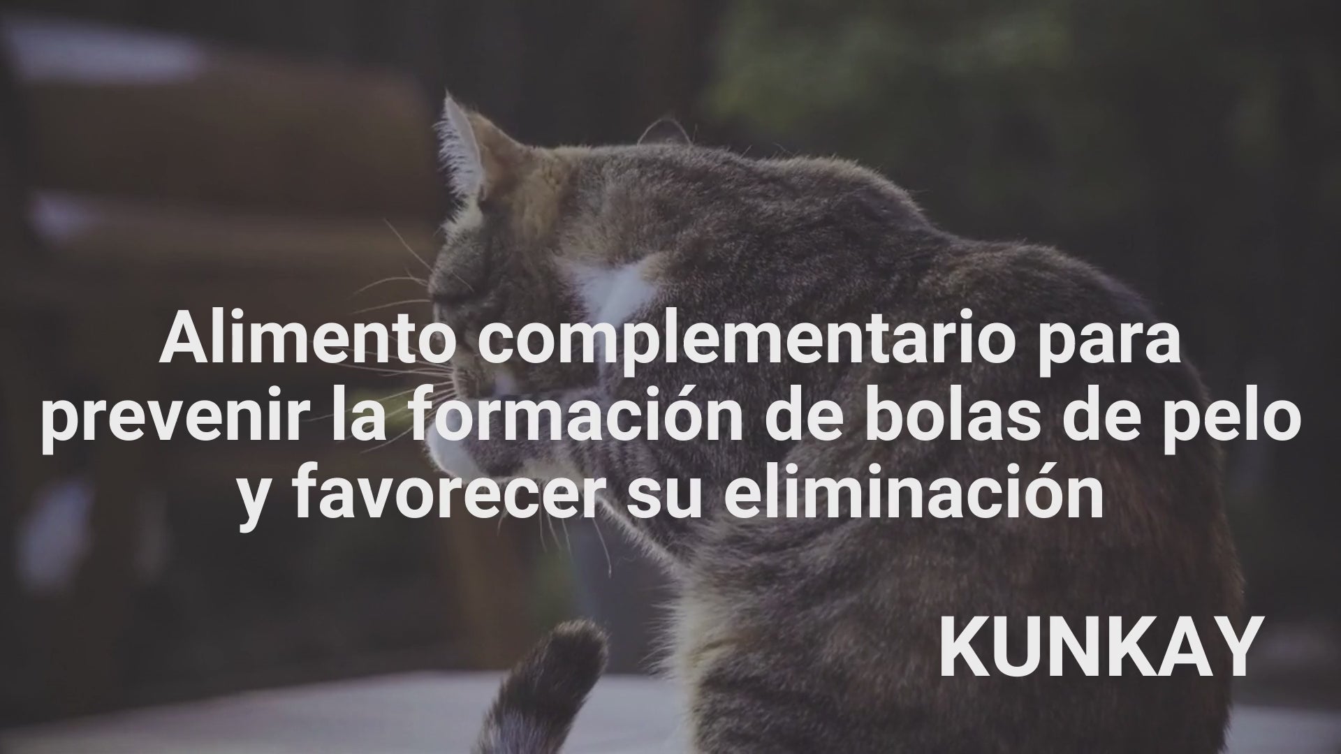 Suplemento natural para las bolas de pelo en gatos