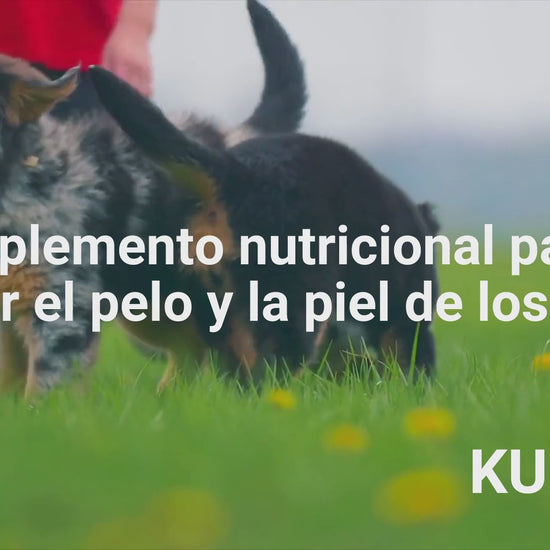 Suplemento natural para el pelo y la piel de perros