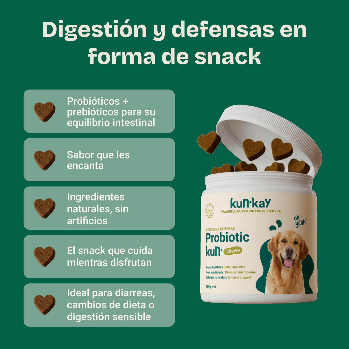 Probiotic Chews Perros - Suplemento para su Salud Intestinal