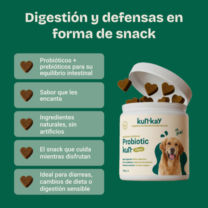 Probiotic Chews Perros - Suplemento para su Salud Intestinal