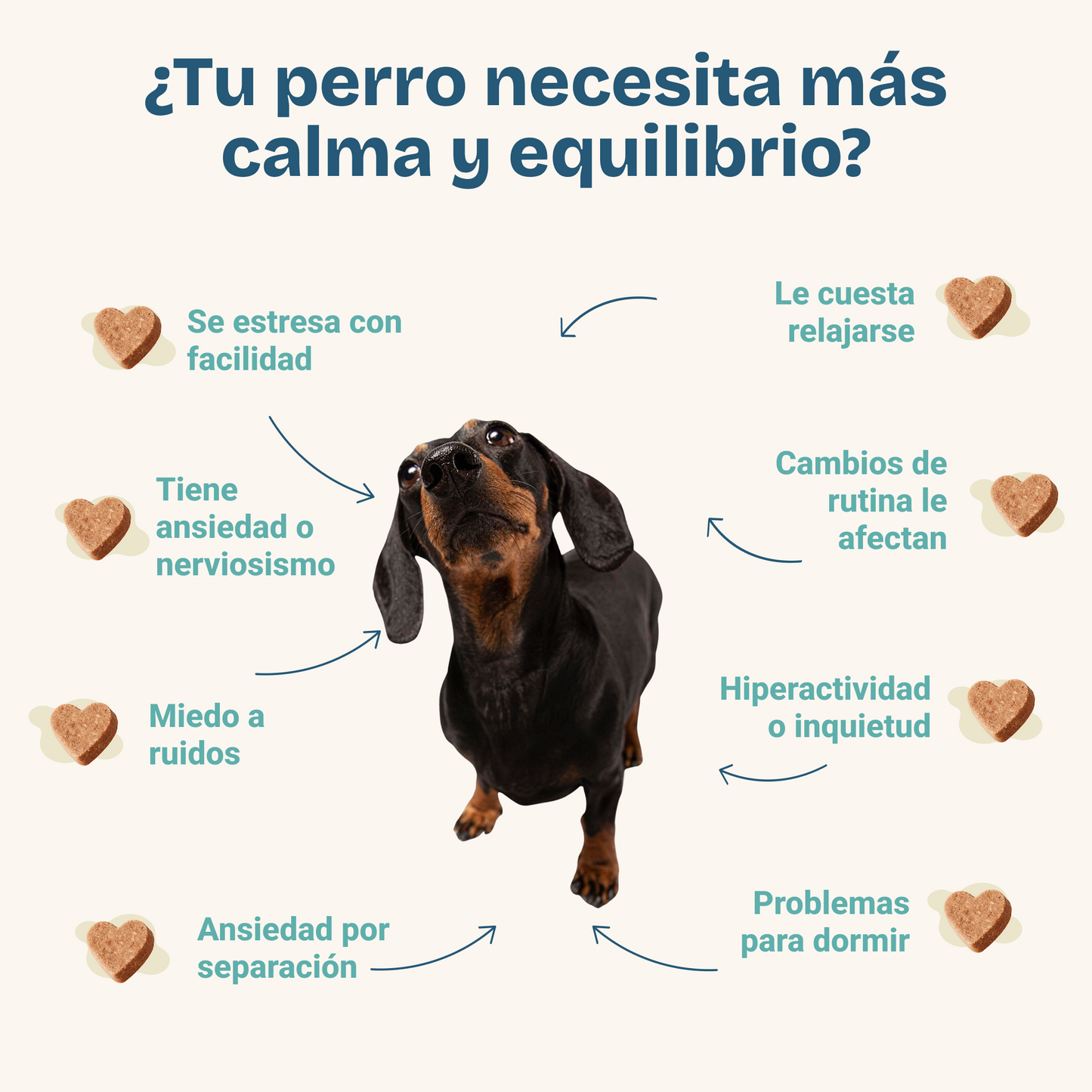 Calmkun Chews Perros - Suplemento Antiestrés y Ansiedad