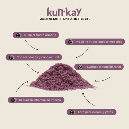 Rainbow Pack (Hunde und Katzen)