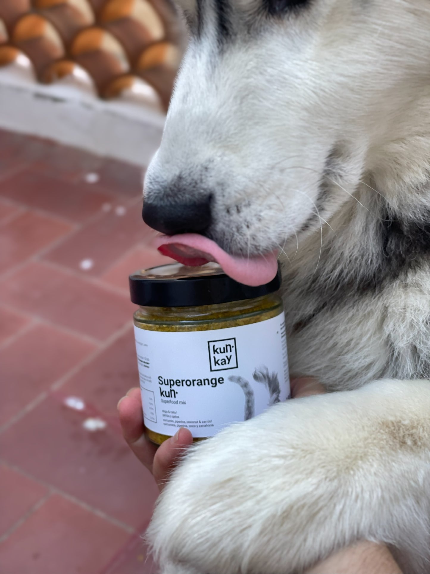 Pack Rainbow Superfoods (Perros y Gatos)