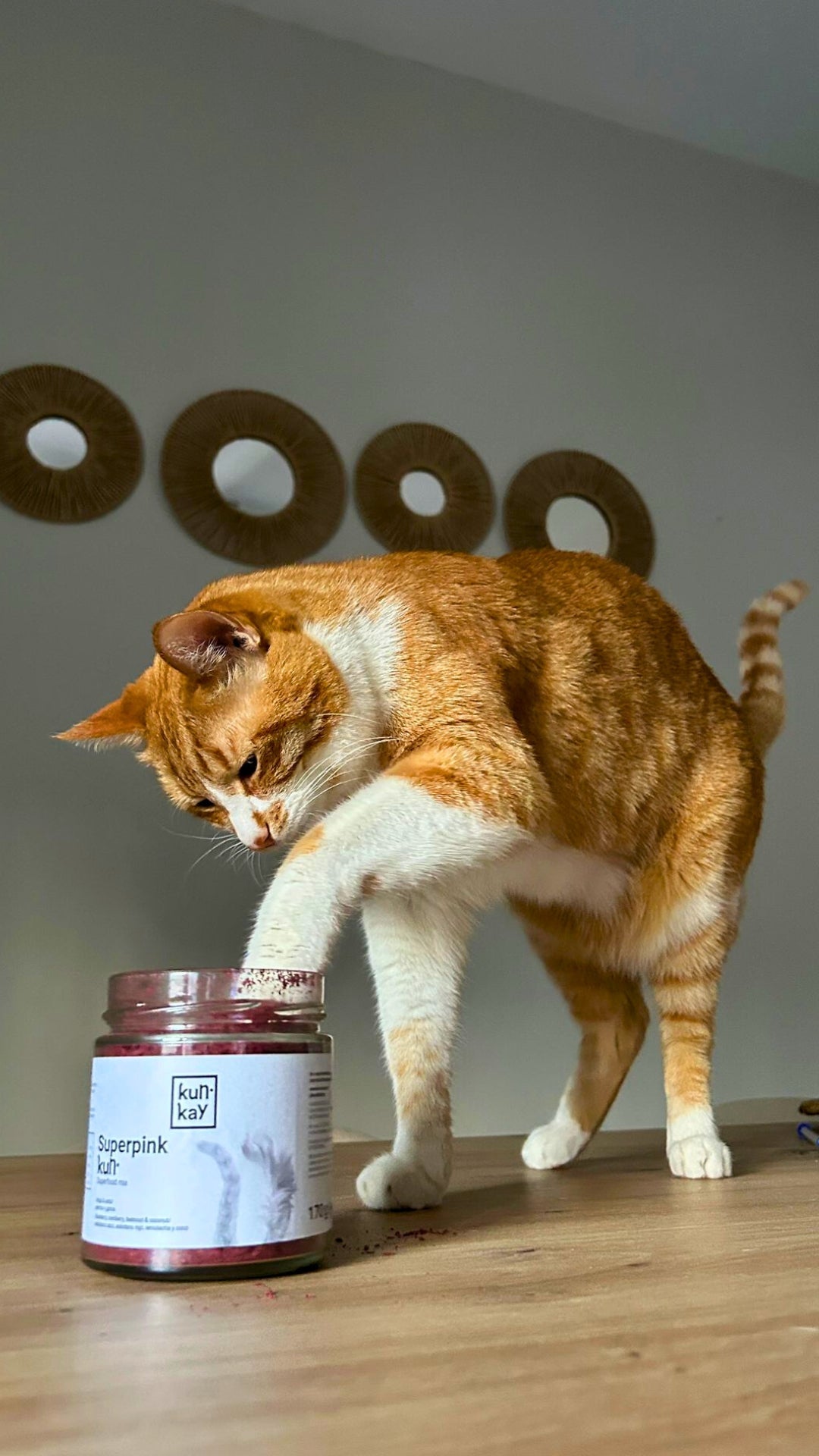 Pack Rainbow Superfoods (Perros y Gatos)