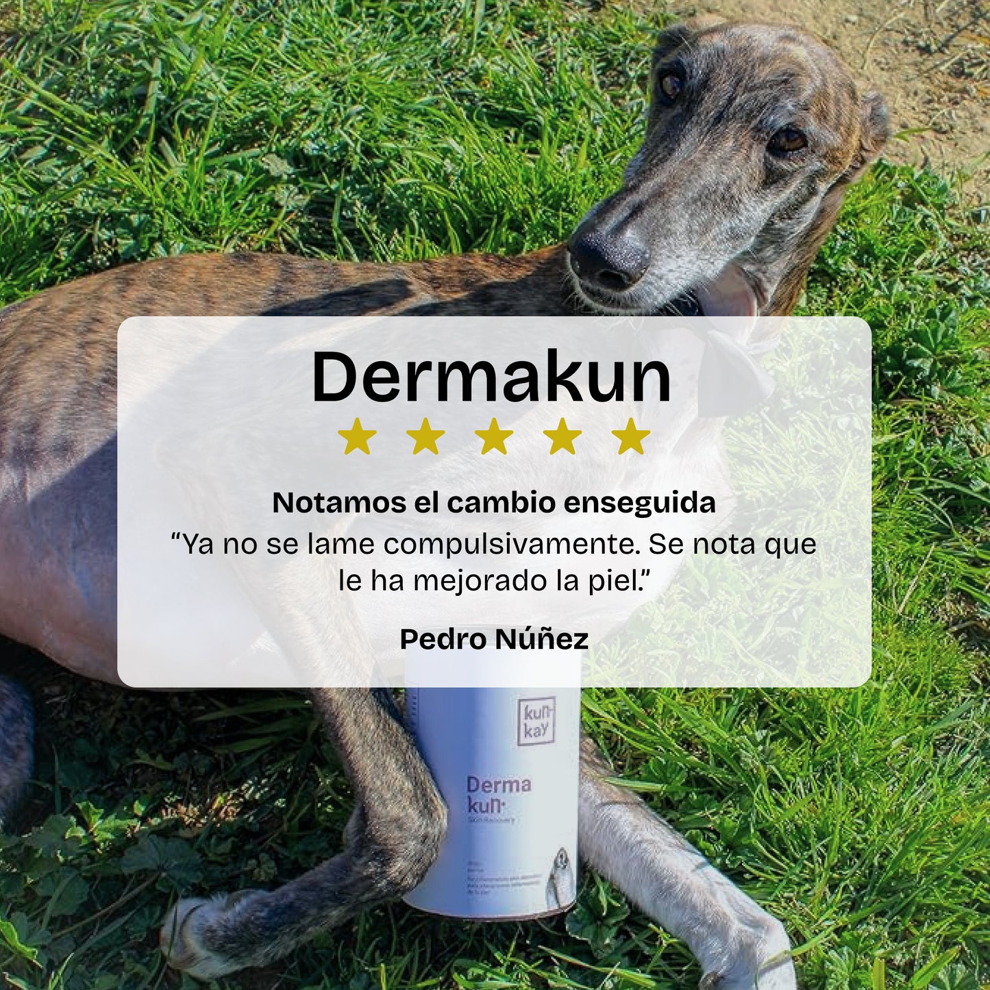 Dermakun Perros (260 g) Suplemento para cuidar la Piel y Pelo