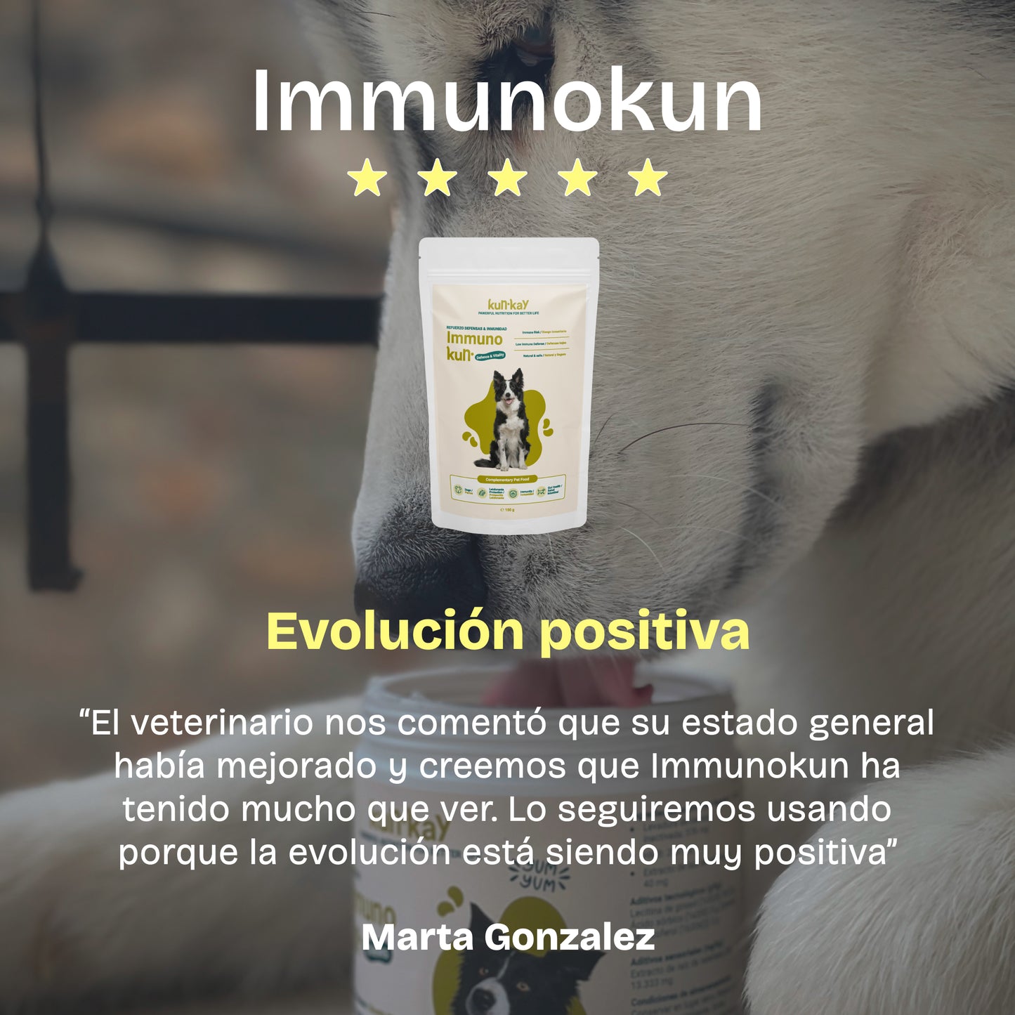 Immunokun Hunde (150 g) Supplement zur Verbesserung der Immunantwort