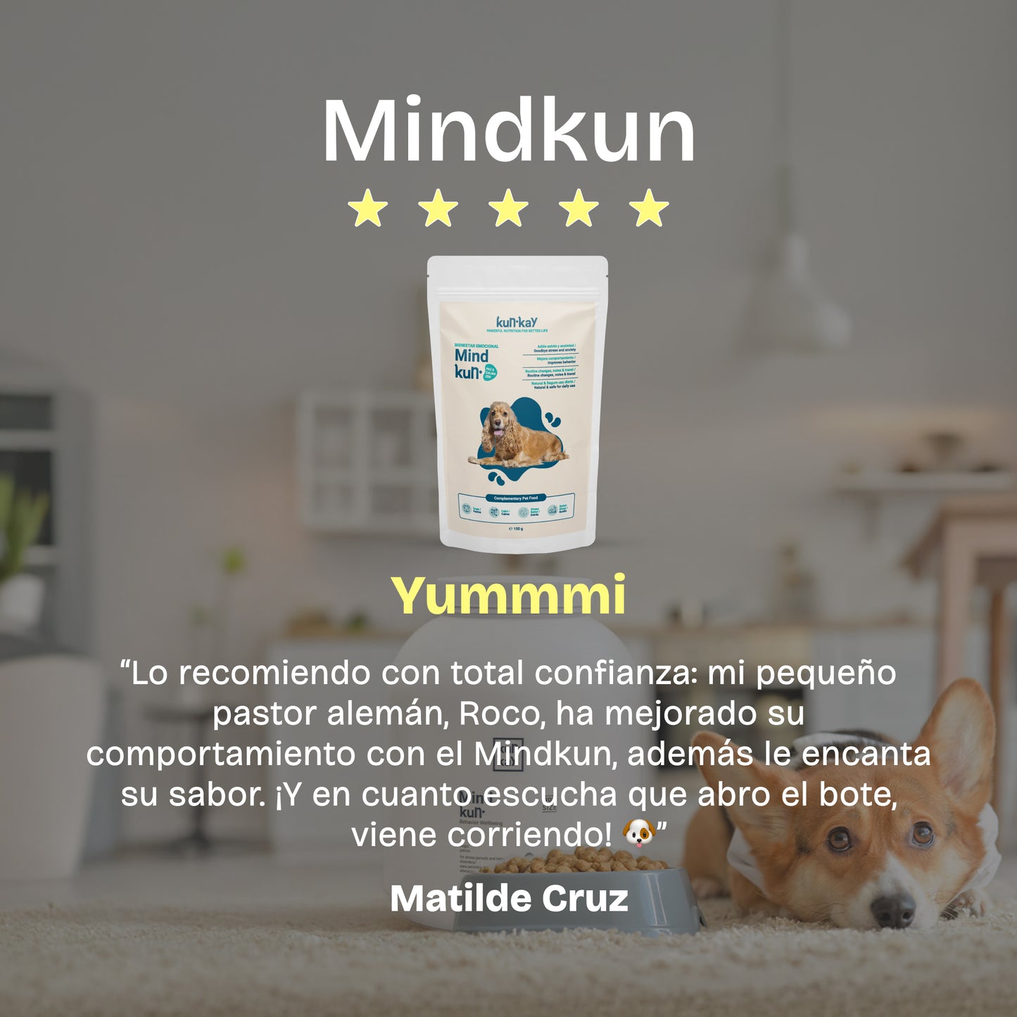 Mindkun Perros (150 g) Suplemento Antiestrés y Ansiedad