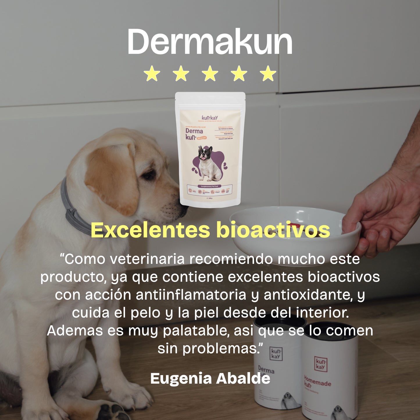 Dermakun Hunde (260 g) Ergänzung zur Pflege von Haut und Fell