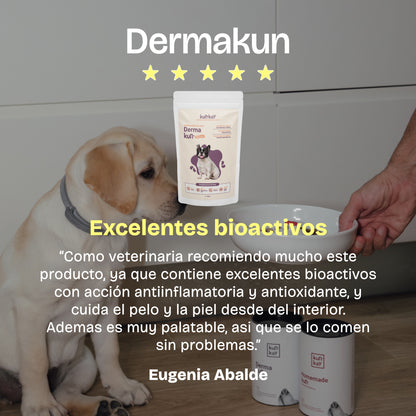 Dermakun Hunde (260 g) Ergänzung zur Pflege von Haut und Fell