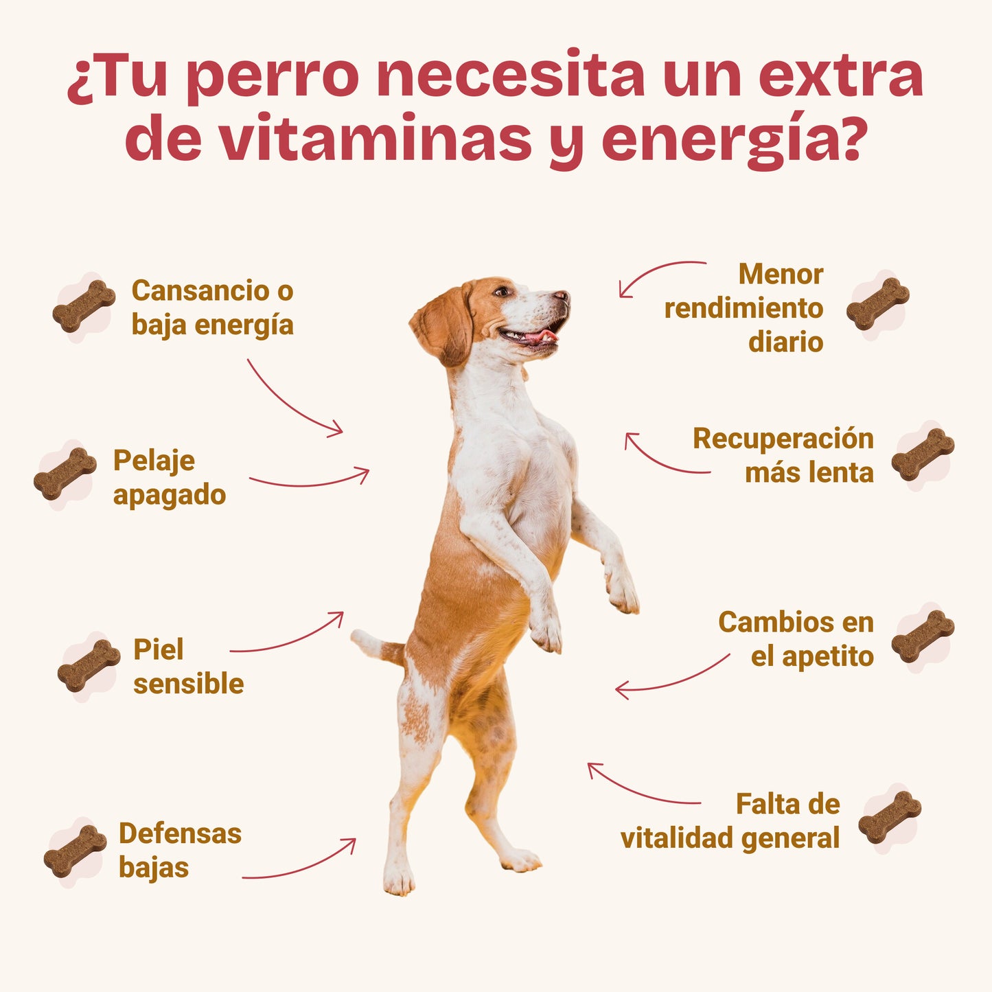 Vitakun Chews Chiens - Supplément nutritionnel avec vitamines et chondroprotecteurs