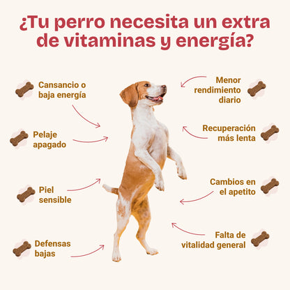 Vitakun Chews Chiens - Supplément nutritionnel avec vitamines et chondroprotecteurs