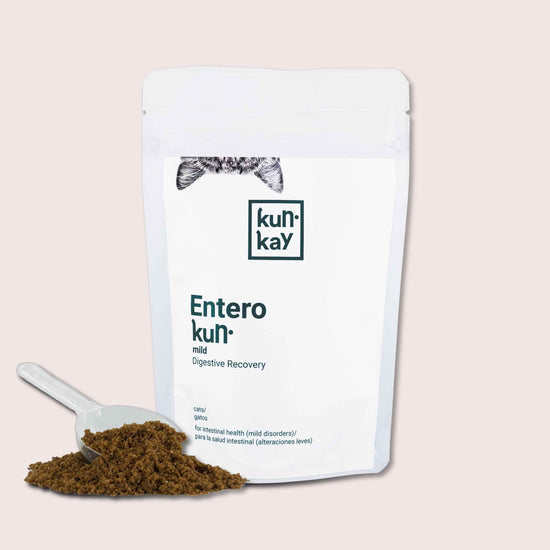 Suplemento natural para la diarrea de gato