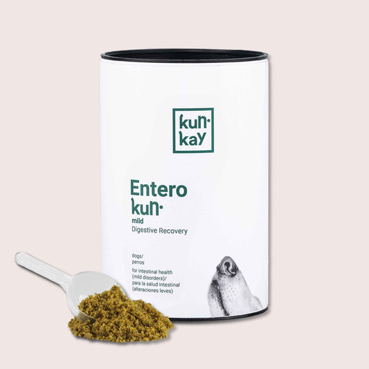 Suplemento natural para a diarreia de cães