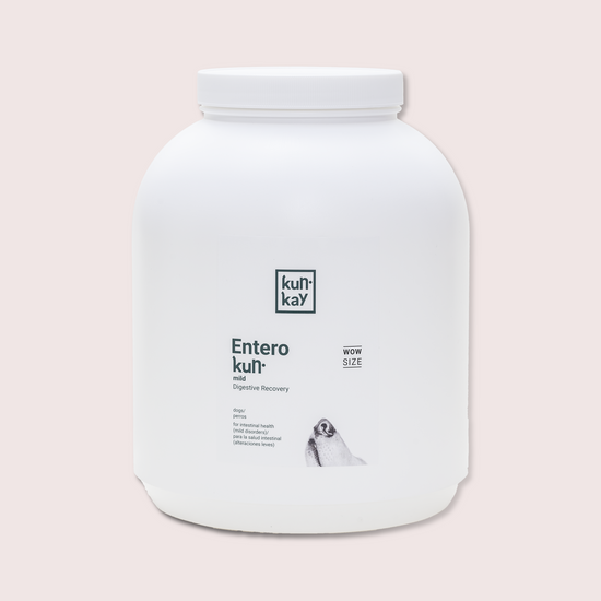 Suplemento nutricional para la salud intestinal de tu perro