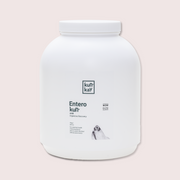 Suplemento para la salud intestinal de tu perro