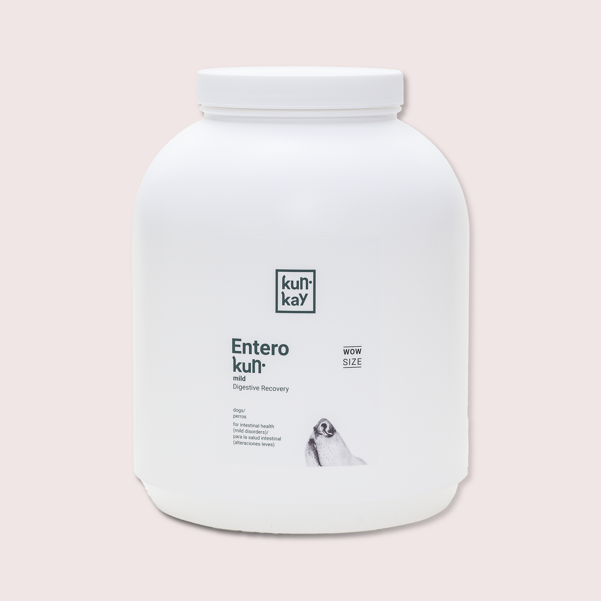 Suplemento nutricional para la salud intestinal de tu perro