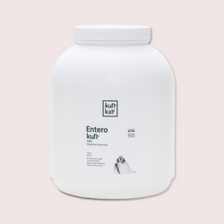 Suplemento nutricional para la salud intestinal de tu perro