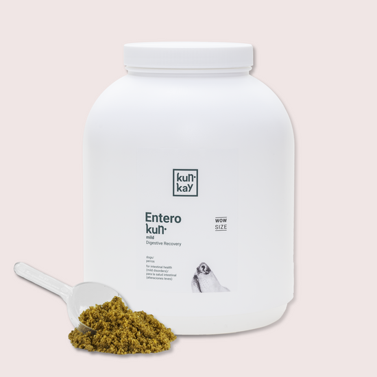 Suplemento natural para diarreas leves en perros