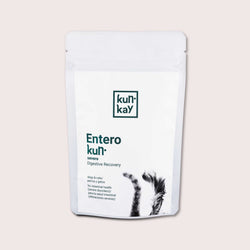 Suplemento para diarrea severa perros y gatos