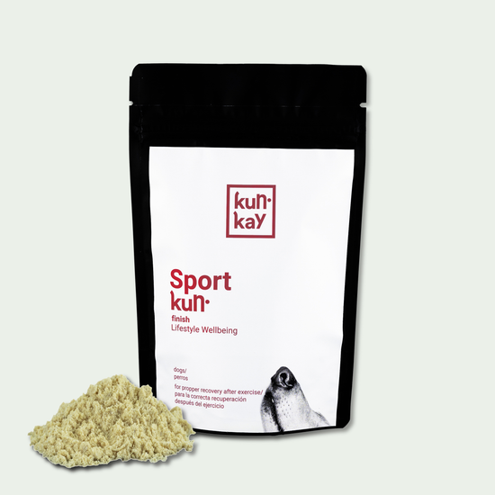 Suplemento natural despues del entrenamiento de perros