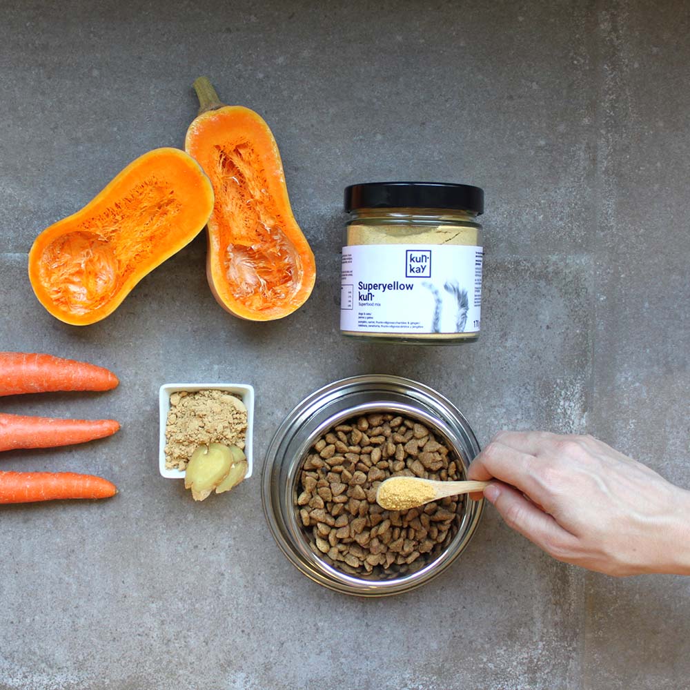 Calabaza, Zanahoria y Jengibe