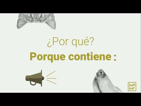 Suplemento natural para el sistema inmune de gatos