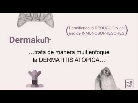 Suplemento natural para la piel y el pelo de gatos