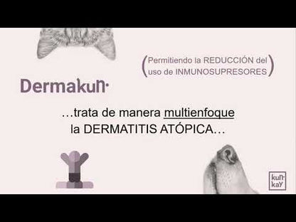Suplemento natural para la piel y el pelo de gatos