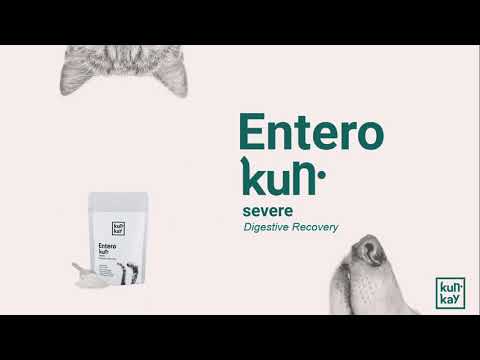 Suplemento natural para la diarrea severa de perros y gatos